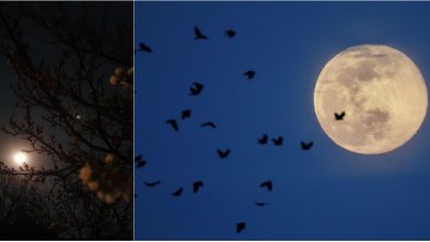 Photo of foto | Cosmosul a fost „mai aproape” de noi. Imagini spectaculoase cu SuperLuna Roz, surprinsă ieri în Moldova și în lume