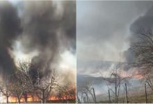 Photo of video | Flăcări puternice și fum dens în comuna Sărata-Galbenă. Hectare întregi au fost afectate ieri de un incendiu