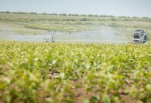 Photo of Producătorii agricoli vor obține mai ușor acces la apele de suprafață pentru irigarea terenurilor. Proiectul – votat de Parlament