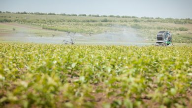 Photo of Producătorii agricoli vor obține mai ușor acces la apele de suprafață pentru irigarea terenurilor. Proiectul – votat de Parlament