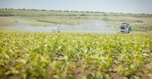 Photo of Producătorii agricoli vor obține mai ușor acces la apele de suprafață pentru irigarea terenurilor. Proiectul – votat de Parlament