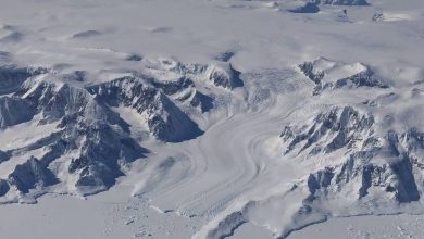 Photo of video | Pământul pierde gheață într-un ritm alert. Câte miliarde de tone din Calota Glaciară se topesc anual?