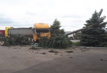 Photo of foto | Un accident violent s-a produs la Orhei. Câțiva brazi și un stâlp de electricitate – la pământ