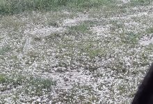 Photo of video | „S-a spart cerul”. Ploaie puternică cu grindină la Călărași în aceste momente