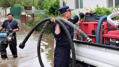 Photo of Ploile torențiale cu grindină, din ultimele zile, au afectat zeci de hectare de culturi agricole