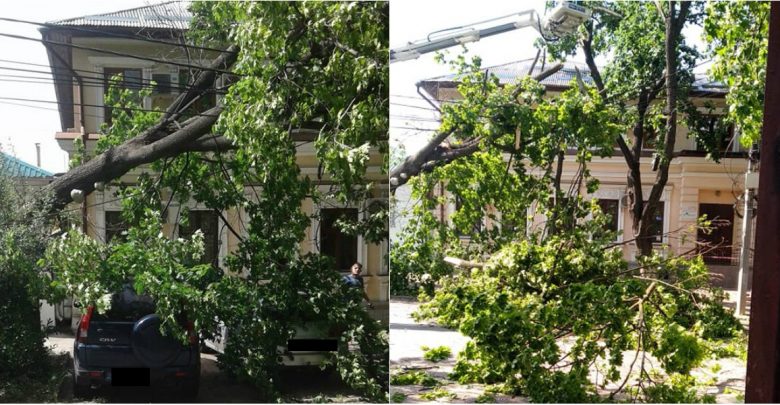 Photo of foto | Vântul a început să facă ravagii. În centrul capitalei a căzut un copac