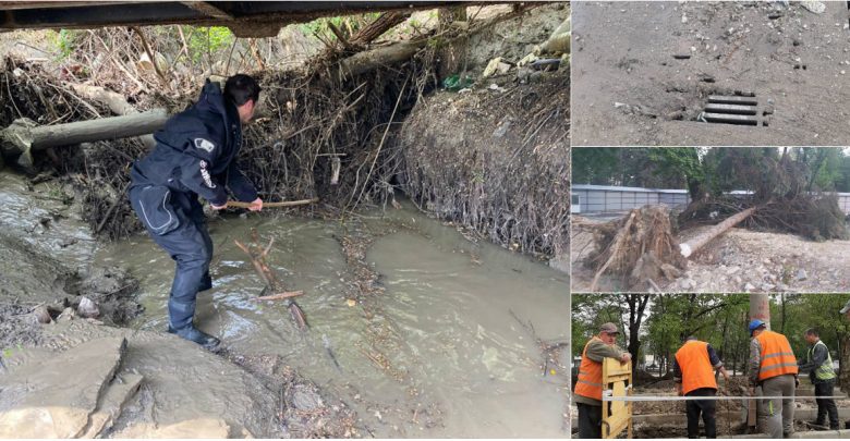 Photo of foto | Municipalitatea a mobilizat mai mulți muncitori și tehnică pentru a înlătura consecințele ploii de ieri. Cetățenii sunt îndemnați să nu parcheze mașinile sub copaci