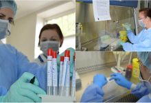 Photo of foto | Cum are loc procesul de analizare a probelor la COVID-19 în Moldova? Imagini din interiorul laboratorului virusologic