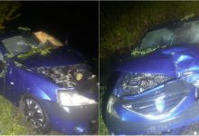 Photo of foto | Incident grav la Briceni! Un șofer a ajuns în stare gravă la spital după ce s-a izbit violent de un copac