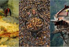 Photo of foto | Imaginile spun tot. Iată cum arată cele mai grele și mai prost plătite munci din lume