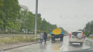 Photo of Precizările Primăriei, după ce muncitorii de la Spații Verzi ar fi fost surprinși cum „udă florile pe ploaie”. Ce făceau, de fapt, angajații?