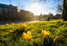 Photo of meteo | Începem săptămâna cu temperaturi de până la +30 de grade Celsius. Ce vreme vom avea în următoarele zile?