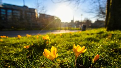 Photo of meteo | Începem săptămâna cu temperaturi de până la +30 de grade Celsius. Ce vreme vom avea în următoarele zile?