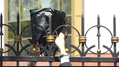 Photo of video | Usatîi, în vizită la Președinție cu o pungă neagră. Ce a pus în ea?