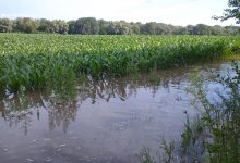 Photo of foto | Mai multe terenuri agricole din raionul Ungheni au fost inundate. Localnicii întăresc digurile de protecție