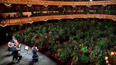 Photo of video | Artiștii Operei de la Barcelona au susținut un concert pentru plante. În sală au fost aproape 2300 de „spectatori”