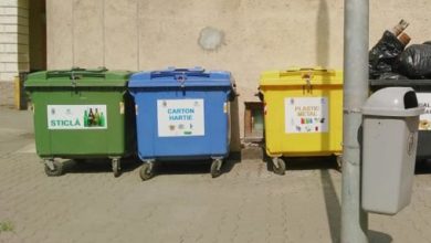 Photo of video | Ar fi lăsat localitatea natală fără 45 de tomberoane. Câți ani de pușcărie riscă doi tineri pentru această faptă?