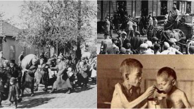 Photo of foto | Zi importantă în istoria Basarabiei. Se împlinesc 79 de ani de la primul val de deportări staliniste