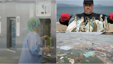 Photo of foto, video | Măștile de protecție folosite – o adevărată bombă ecologică. Cum ar trebui să fie reciclate corect?