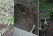 Photo of video | Ploaia torențială și vântul au făcut ravagii în mai multe localități din țară