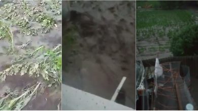 Photo of video | Ploaia torențială și vântul au făcut ravagii în mai multe localități din țară