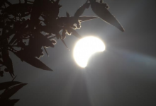 Photo of foto | A strălucit aidoma unei cununi pe cer! Cum s-a văzut prima și cea mai mare eclipsă solară din 2020 în orașele din Asia?