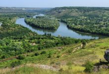 Photo of video | Defrișările din țara noastră ne-ar costa circa 216 milioane de lei anual. Semnează petiția pentru a salva pădurile Moldovei!