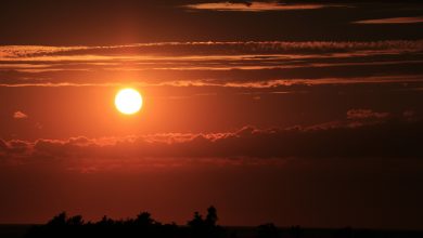 Photo of Temperaturile în unul dintre cele mai reci locuri de pe Pământ au ajuns la +38 de grade. Cum explică meteorologii?