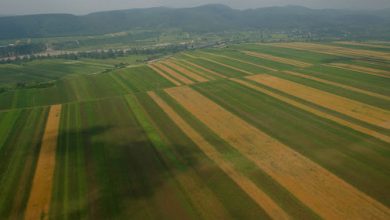 Photo of video | Cimitirul, două drumuri și terenurile oamenilor dintr-un sat ar fi fost vândute fără acordul lor. Consilierii PSRM au cerut ajutorul președintelui Dodon, însă problema a rămas nerezolvată