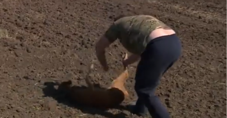 Photo of video | A strigat disperată, cerând ajutor. O căprioară a fost salvată după ce a căzut într-o fântână de doi metri