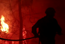 Photo of video | Incendiile de vegetație s-au abătut din nou peste Grecia. Ard păduri din apropierea Atenei