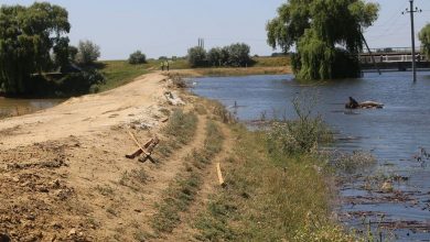 Photo of foto, video | Pericolul inundațiilor nu a trecut! Salvatorii continuă să consolideze diguri de protecție la Cantemir și Cahul