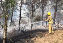 Photo of foto | Pompierii au luptat șapte ore cu un incendiu izbucnit într-o pădure din Cahul. Aproximativ 23 de hectare de teren, mistuite de flăcări