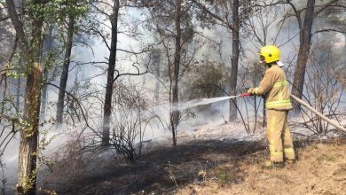 Photo of foto | Pompierii au luptat șapte ore cu un incendiu izbucnit într-o pădure din Cahul. Aproximativ 23 de hectare de teren, mistuite de flăcări