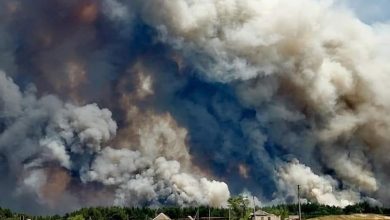 Photo of video | Incendiu forestier de proporții în Ucraina! Cel puțin cinci oameni au murit, iar zeci de case au fost distruse