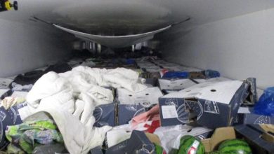 Photo of Șoferul a fost arestat pe loc! Ce au descoperit vameșii într-un camion cu pepeni verzi care urma să ajungă la Dresda?