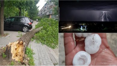 Photo of foto, video | Aversele puternice au făcut prăpăd în unele regiuni. Bucăți mari de gheață au căzut la Ștefan Vodă, iar unii copaci din capitală au fost doborâți