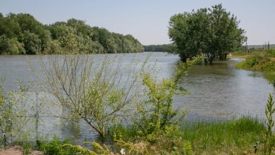 Photo of Doi locuitori din Căușeni ar fi deteriorat digul de protecție al râului Nistru pentru a-și inunda terenul agricol și a primi subvenții de la stat