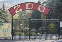 Photo of Directorul Grădinii Zoologice este bănuit că ar fi prezentat date denaturate în declarații de avere timp de patru ani