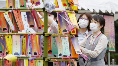 Photo of La Tokyo a fost deschisă o expoziție de la care vizitatorii pot fura exponatele. Explicația proprietarilor