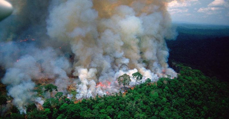 Photo of Pădurea Amazoniană – în continuare distrusă de incendii ilegale. „Strategia guvernului nu este eficientă”