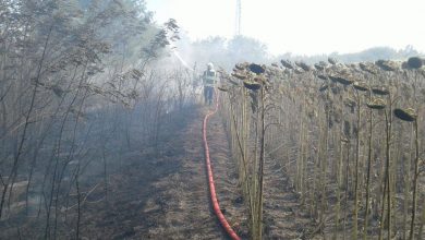 Photo of foto | Respectați regulile antiincendiare! În doar 24 de ore, pompierii au luptat cu peste 40 de focare