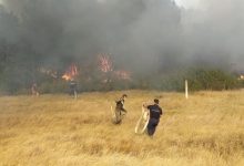 Photo of foto | Incendiu în apropiere de vama Leușeni. Salvatorii și polițiștii de frontieră au lichidat flăcările dintr-o pădure de pini