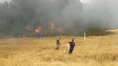 Photo of foto | Incendiu în apropiere de vama Leușeni. Salvatorii și polițiștii de frontieră au lichidat flăcările dintr-o pădure de pini