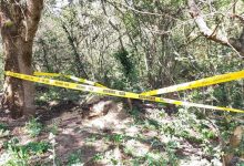 Photo of foto | Alertă la Vadul lui Vodă. Au fost depistate 29 de obuze din perioada războiului