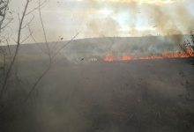 Photo of foto, video | Incendiu de vegetație la Ungheni. Focul a cuprins 70 de hectare și stuful unui lac