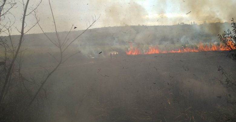 Photo of foto, video | Incendiu de vegetație la Ungheni. Focul a cuprins 70 de hectare și stuful unui lac