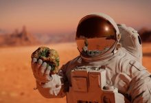 Photo of foto | Pas important pe Marte! NASA a trimis „Copacul” MOXIE pentru a produce oxigen din dioxid de carbon