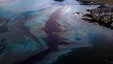 Photo of foto | Sute de tone de petrol s-au scurs într-o lagună a Oceanului Indian! Experți: Dacă se va rupe nava eșuată, va fi o catastrofă ecologică