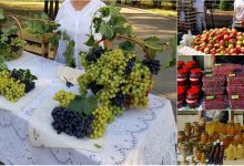 Photo of foto | Scuarul Catedralei a fost învăluit astăzi de aromele lui Gustar. Agricultorii au scos la tarabe struguri, mere, pomușoare și alte delicii